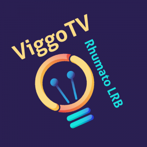 Logo viggoTV